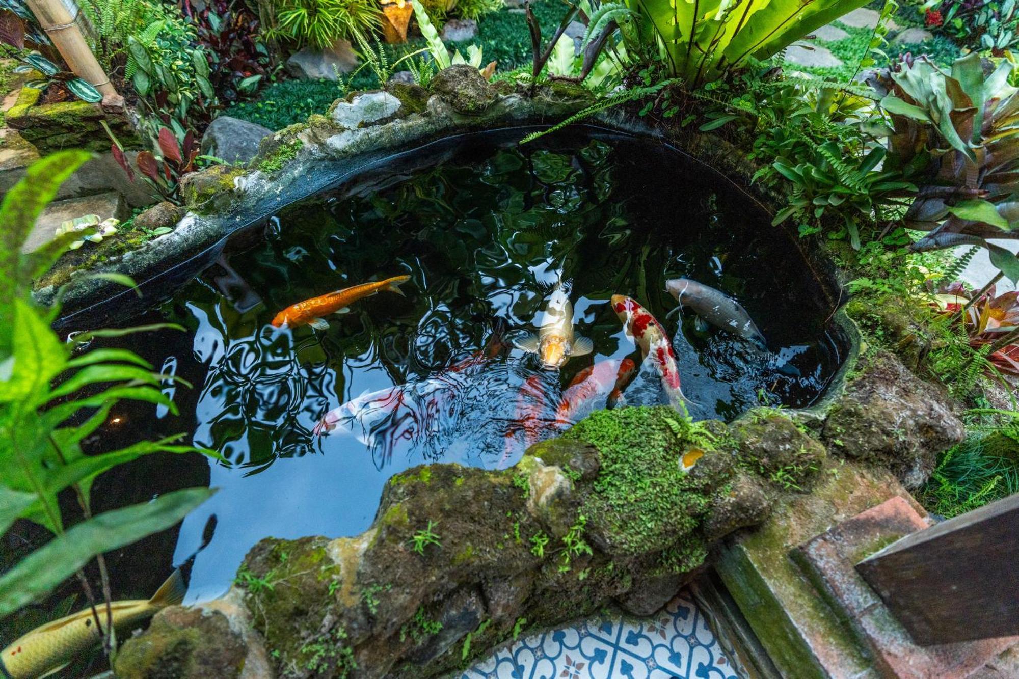 Villa Pranawa Ubud (Bali)